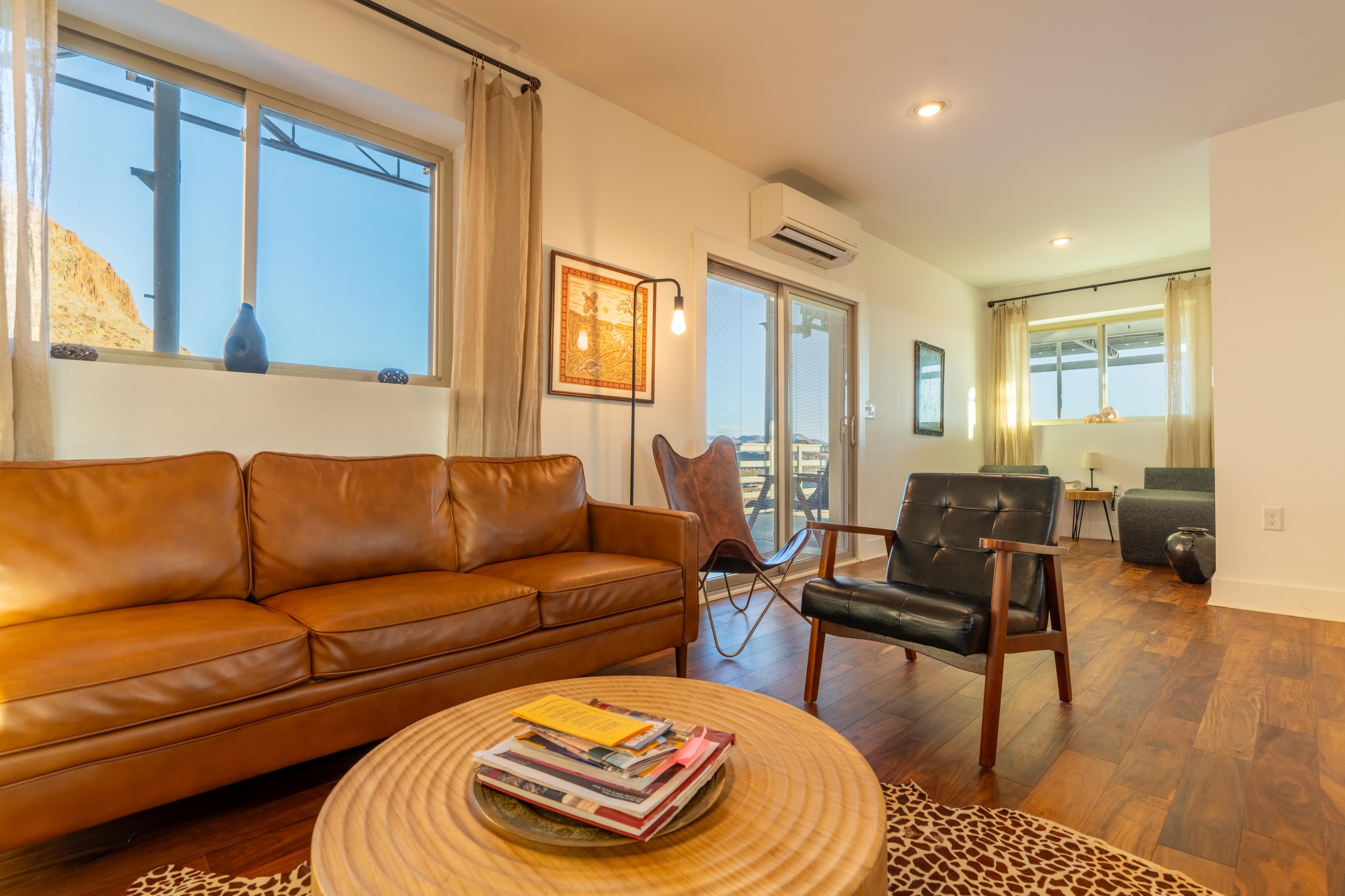Modern living room with leather sofa